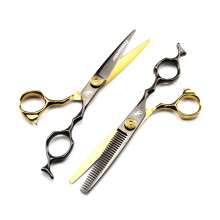 6.0 Inch Professional Hair Cutting Scissors Kit with Ergonomic Handle and Precise Convex Blade