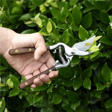 Lassic-Stil Gartenbaumschneider - Hochkohlenstoffstahlklingen, Langlebige Stahlkonstruktion - Arbeitssparende Gartenscheren
