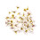 Pachet de 50 de flori mini de mătase cu margarete, 2 cm 1