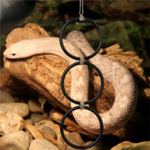 Snake Climbing Rings for Pythhon,Enrichment Rings for Corn Snake, Decorative Snake Tank Accessories with Metal Hook