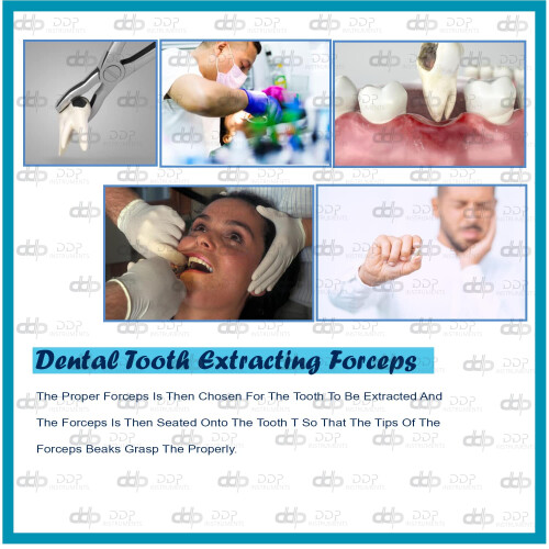Dental Extraction Forceps #65 with Precise Tooth Grip and Ergonomic Handle for Dentists 1