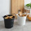 Kitchenware Cooking Tools Storage Rack Cutlery Rack Storage Box Kitchen Storage Rack Chopsticks Bucket A 4