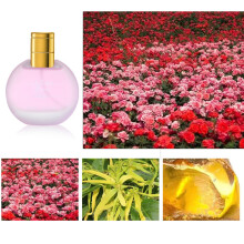 Profumo per il corpo femminile dalla fragranza floreale duratura da 50 ml