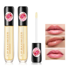 2 Pcs Hydrating Lip Plumper Gloss with Vitamin E and Mint for Fuller Looking Lips Non Sticky Finish