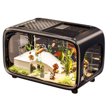 Fish Tank Transparent with Lid Aquarium Desktop Ecological Goldfish Tank Living Room Decoration Landscaping Ornamental