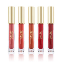 Matte Liquid Lipstick Set 5 Colors Velvet Waterproof LongLasting NonTransfer Lip Gloss Kit