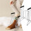 Sock Aid for Compression Socks Sock Aid Compression Sock Assist Device Help Putting  Socks Device Anti-Rust Sock 5