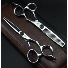 Professional Hair Cutting Scissors Set 6 PCS Japanese Stainless Steel with Thinning Shears Kit