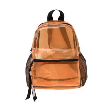 Clear PVC See Through Backpack with Adjustable Straps, Zippered Bookbag for School Travel Beach