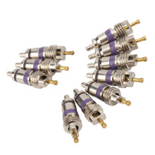 Vehicle Air Conditioner Valve Core 20Pcs for Benz - Premium Auto AC Repair Kit