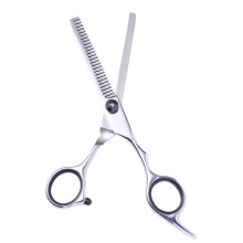 Professional Hair Cutting Scissors with Thinning Function, Stainless Steel Barber Shears for Salon and Home Use