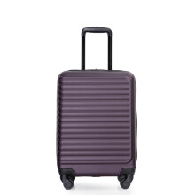 Carry On Luggage Lightweight Spinner Suitcase with 360 Spinner Wheels, 20 inch, Purple