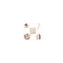 Mini Travel Jewelry Case, Travel Jewelry Organizer Roll Pouch for Earrings, Tangle, Beige