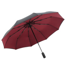 Windproof Travel Umbrella Auto Open Close, Compact Vented Double Canopy Wine Red and Black