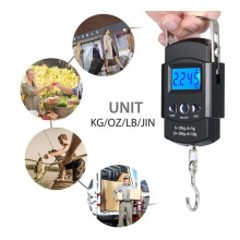 Compact Portable Fishing Scale 50KG/10G with Tape Measure in ABS & Stainless Steel