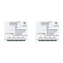 2X 4CH EWeLink WiFi RF433 85-265V 2,4G WiFi Smartlife Home Automation Module för IFTT Alexa Home
