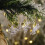 Clear Plastic Angel Ornaments8-Pack7x5cm with Gold 8