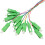 SC APC Fibre Pigtail 12 Core 1.5m 1