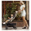 Silla de Paseo Compacta Fly Sahara 3
