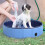 PawHut Piscina para Mascota Azul Ø80 x 20 cm 2