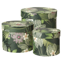 OASIS? Round Green Fauna Lined Hat Boxes - Leaf & ladybird Pattern Gift Storage Box with Lid - Set of 3