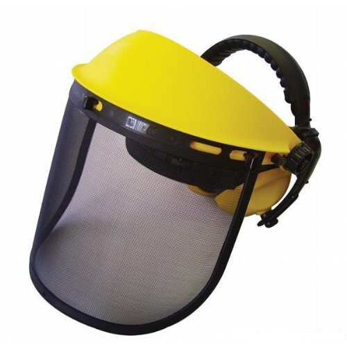 Visor and Ear Muffs Combination
