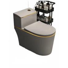 Compact grijs keramisch toilet - waterbesparend sifonontwerp voor kleine appartementen