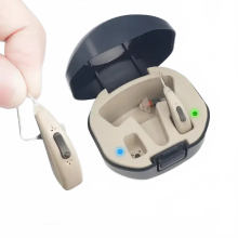 20-kanaals USB oplaadbare programmeerbare hoortoestellen - Onzichtbaar in-ear ontwerp voor verbeterd gehoor - Perfect cadeau voor ouders