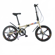 Ultralichte Grylls Mini-vouwfiets met variabele snelheid en schijfremmen - Perfect voor studenten en forenzen
