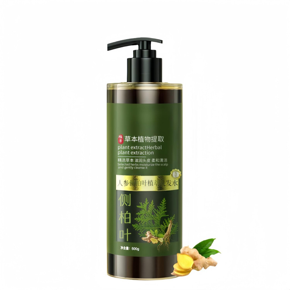 Anti Hair Loss Shampoo for Hair Growth with Ginseng and Ginger Extract, 500g for Thinning Hair