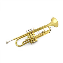 Professional Bb Trumpet with Mouthpiece and Gloves, Brass Construction for Student and Beginner Practice (Color 01)