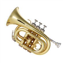 Pocket Trumpet Bb Brass Mini Trumpet for Beginners with Case Mouthpiece and Cleaning Accessories