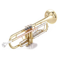 Standard Bb Trumpet for Beginners with Stable Intonation, Fast Valve Action and ThreeColor Brass Finish