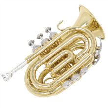 Bb Pocket Trumpet in Bb Key for Beginners, Compact Travel Size with Cornet Mouthpiece Compatibility