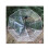 Windproof Travel Umbrella Clear Umbrella Automatic Open Close Compact 3Fold Yellow 5