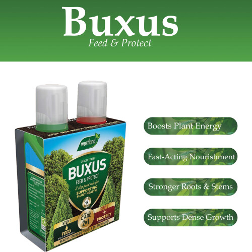 Westland Westland Buxus Feed & Protect 2-in-1 2x500ml 1