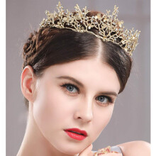Gold Bridal Crown with Rhinestones Wedding Tiara Gold Flowers and Dragonfly Design for Women Girls