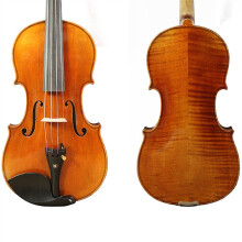 1/2 Beginner Violin Set with Canvas Case and Brazilwood Bow, Precise Color Matching Design