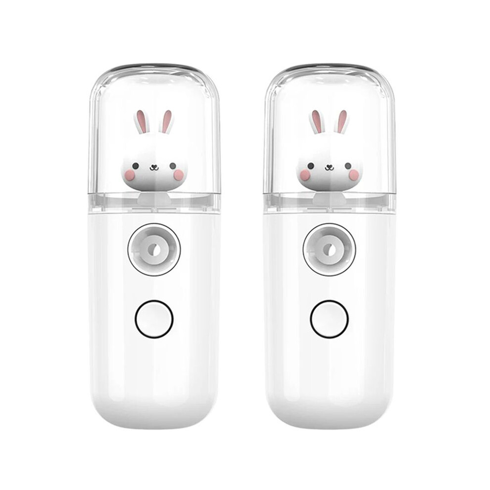 2X 30ml  Mist Facial Sprayer Steamer Humidifier Portable USB Rechargeable Face Moisturizing Nebulizer