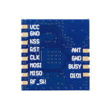 2X SX1262 Draadloze Module, Wio-SX1262 Ingebed, Ondersteunt LoRa en LoRaWAN op EU868 en US915