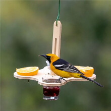 2X Oriole-Vogelfutterhäuschen für Den Außenbereich, Gelee- und Orangen-Vogelhäuschen zum Aufhängen im Freien