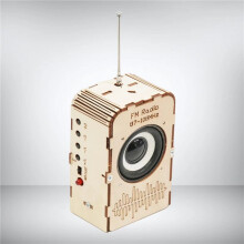 10X DIY Radio Model Physical Practical Toy Educational Toy Kits Wooden Science Project Model