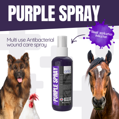 Purple Spray Antibacterial Wound Cleanser 1