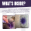 Purple Spray Antibacterial Wound Cleanser 4