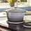 Cooks Professional Cooks Professional 34L Mini Oven with 2 Hobs | Black / Copper 4