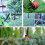 Garden Drip Irrigation System 20m Micro Spraying Watering Kit 11