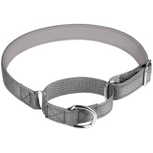 Dog Training Collar with NoPull Control, Reflective Adjustable Nylon Pet Collar for Dogs and Cats, Grey S