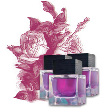 Perfume Oils Set 3 Pcs Longlasting Fragrance Moisturizing Rollon Travel Size for All Skin Types