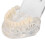 Transparent Acrylic Dental Teeth Model for Teaching Demonstration 6