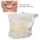 Transparent Acrylic Dental Teeth Model for Teaching Demonstration 12